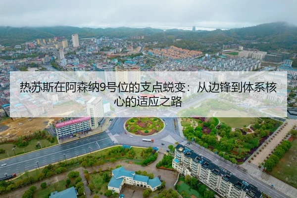 re-su-si-zai-a-sen-na-hao-wei-de-zhi-dian-tui-bian-cong-bian-feng-dao-ti-xi-he-xin-de-shi-ying-zhi-lu-2-911.jpg