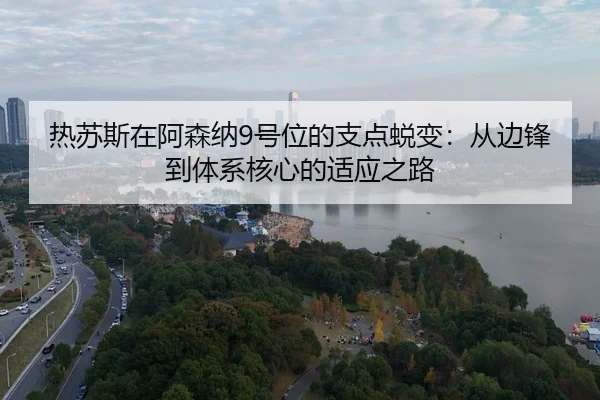 re-su-si-zai-a-sen-na-hao-wei-de-zhi-dian-tui-bian-cong-bian-feng-dao-ti-xi-he-xin-de-shi-ying-zhi-lu-3-988.jpg