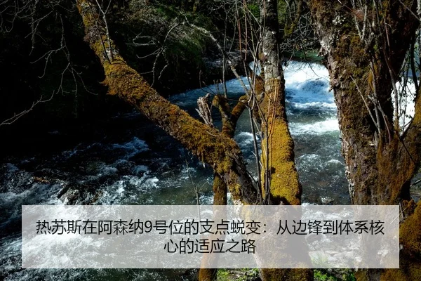 热苏斯在阿森纳9号位的支点蜕变：从边锋到体系核心的适应之路