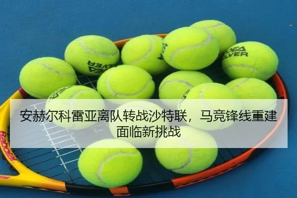 an-he-er-ke-lei-ya-li-dui-zhuan-zhan-sha-te-lian-ma-jing-feng-xian-chong-jian-mian-lin-xin-tiao-zhan-3-237.jpg