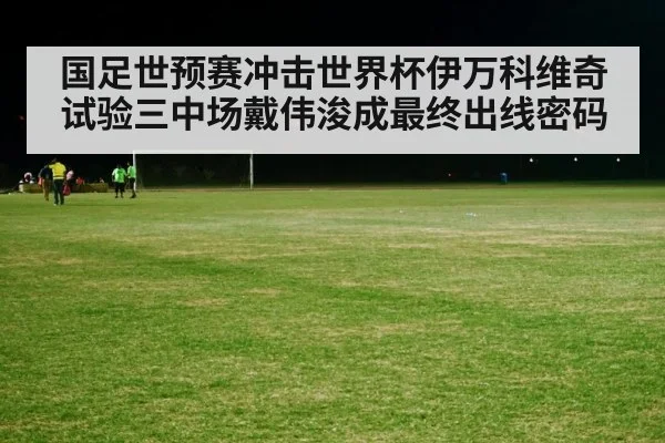 国足世预赛冲击世界杯伊万科维奇试验三中场戴伟浚成最终出线密码