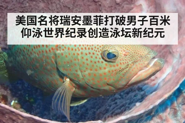 美国名将瑞安墨菲打破男子百米仰泳世界纪录创造泳坛新纪元