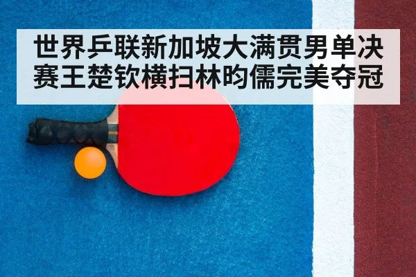 table tennis racket
